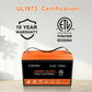 CHINS 100AH Lithium Battery 12V LiFePO4 Built 100A BMS for Golf Cart UL certification